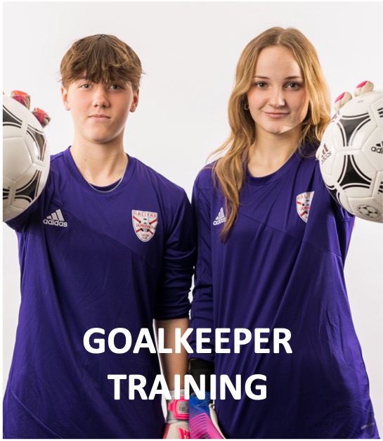 Halifax Dunbrack Soccer Club site by RAMP InterActive